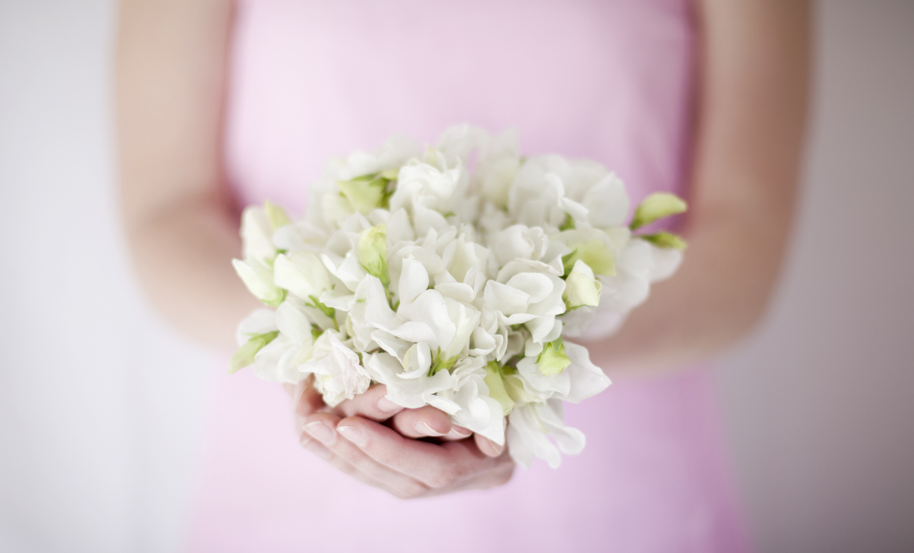 What Are The Best Flowers To Say “I’m Sorry”? – The Nature Network