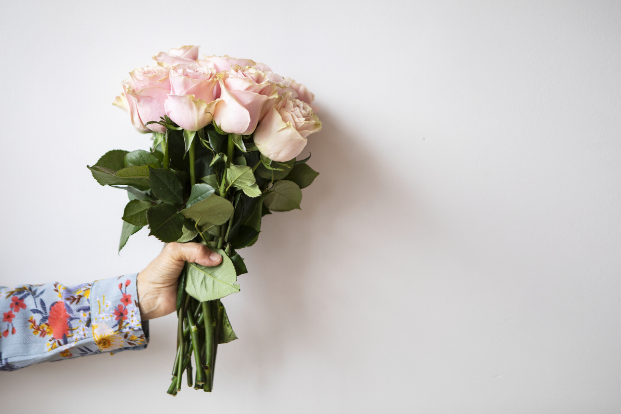 What Are The Best Flowers To Say “I’m Sorry”? – The Nature Network