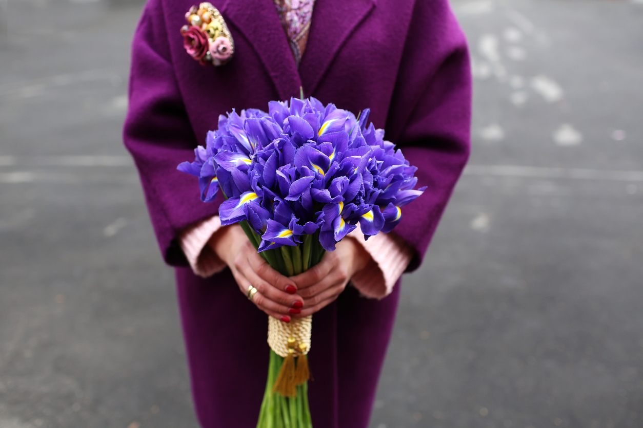 What Are The Best Flowers To Say “I’m Sorry”? – The Nature Network