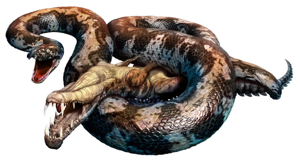 Meet Titanoboa, the Biggest Snake That Ever Lived – The Nature Network